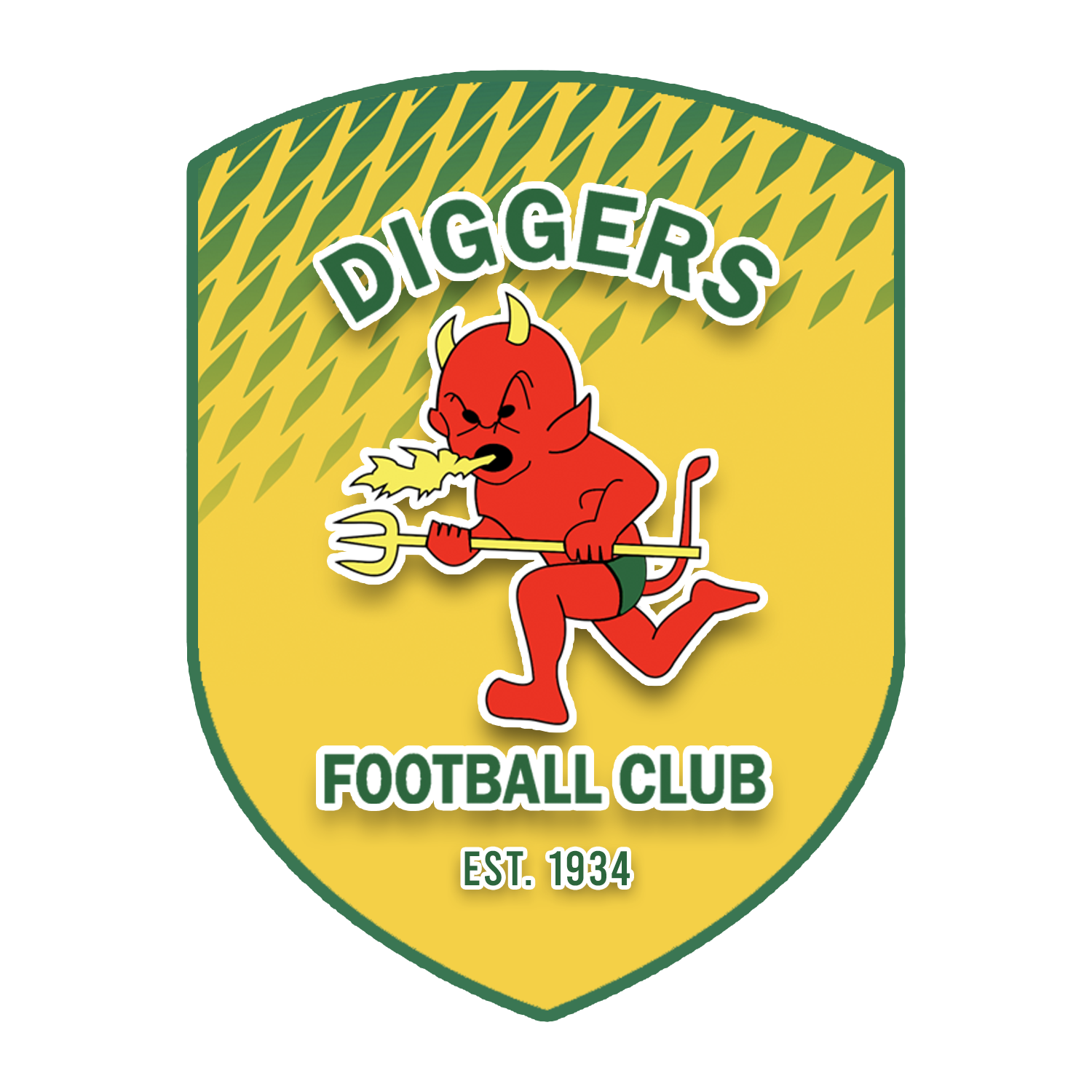 DIGGERS FOOTBALL CLUB BUCKET HAT STORMERS