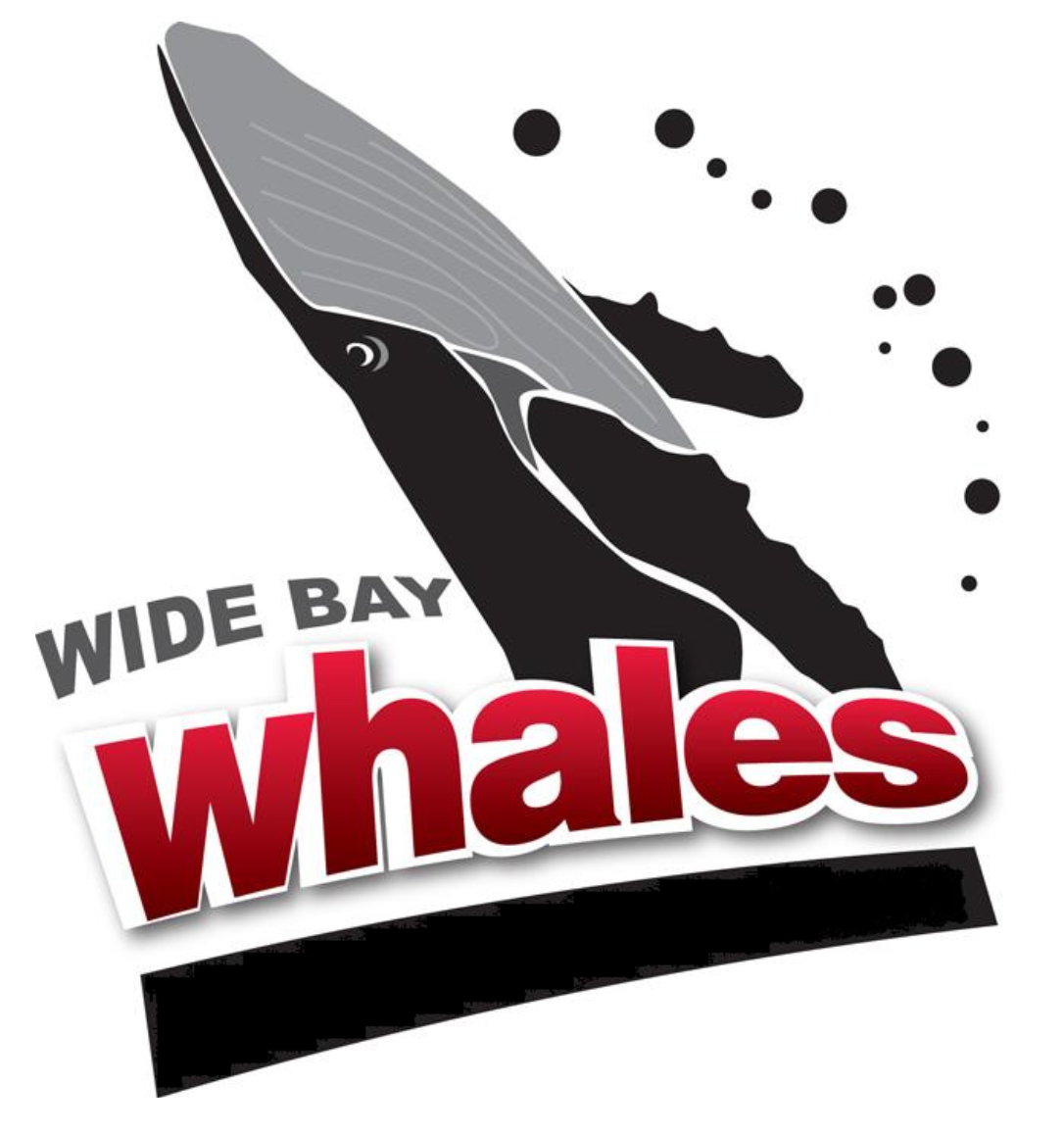 WIDE BAY WHALES - CLUB PULL OVER HOODIE